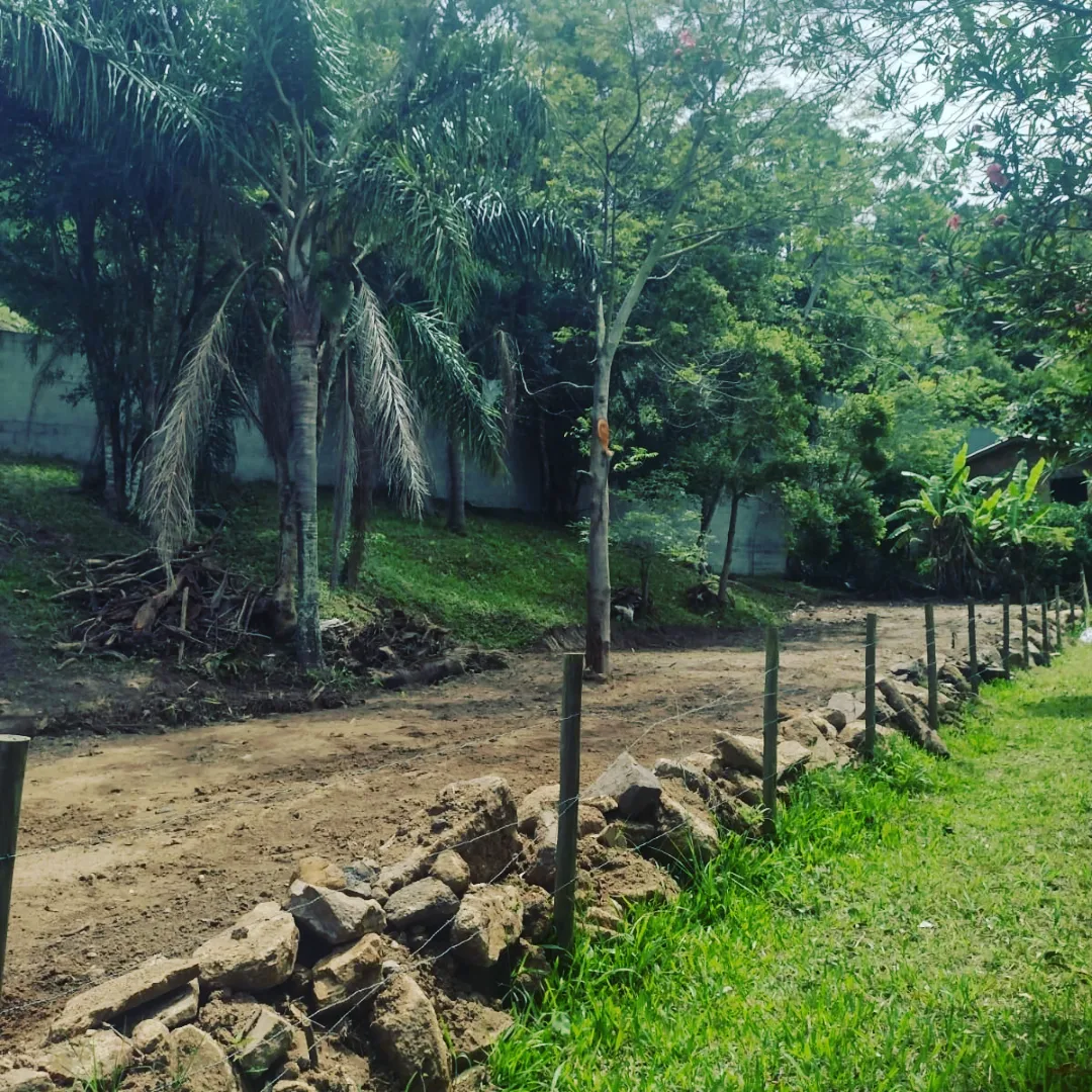Terreno - Venda - Garopaba - SC - Ferrugem - 1