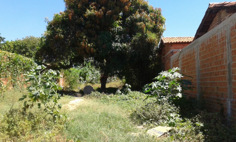 Lote - Venda - TIMON - MA - SAO BENEDITO