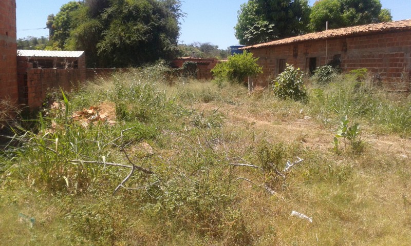 Lote - Venda - TIMON - MA - PARQUE ALIANCA