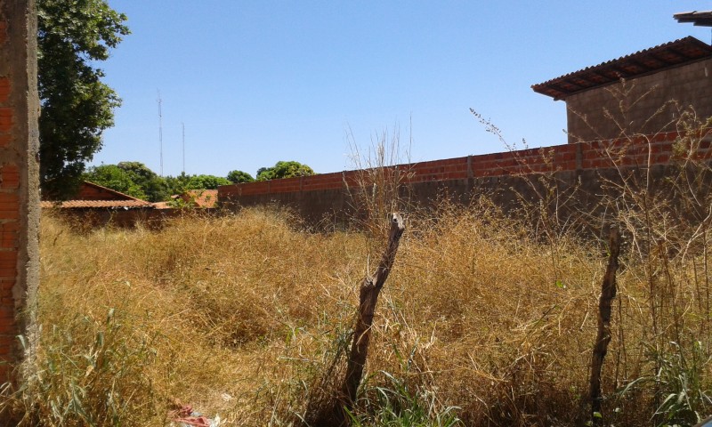 Lote - Venda - TIMON - MA - PEDRO PATRICIO