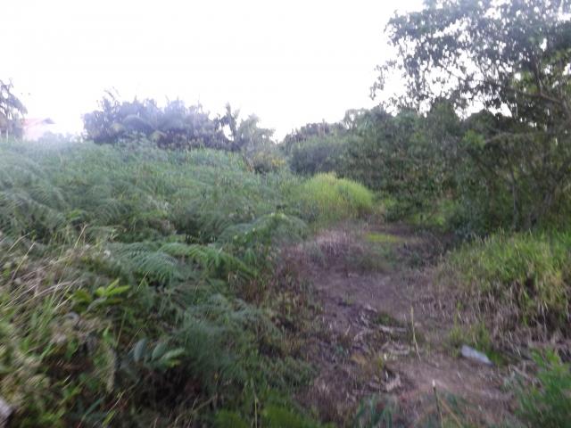 Terreno - Venda - LONTRAS - SC - CENTRO - 1
