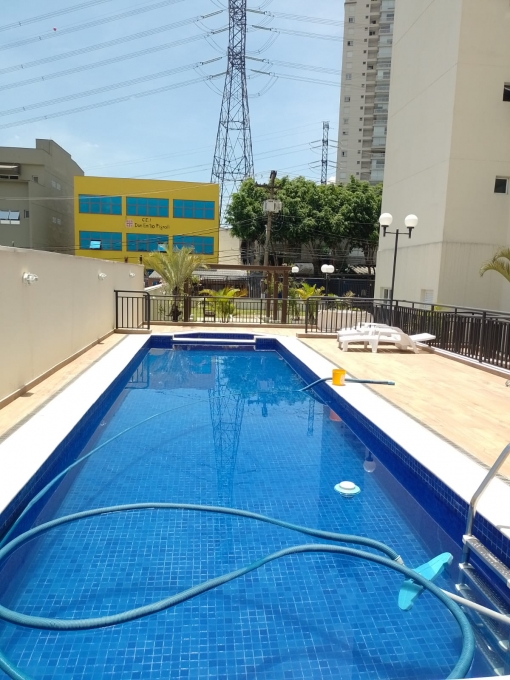 Apartamento - Aluguel - São Paulo - SP - Vila Albano